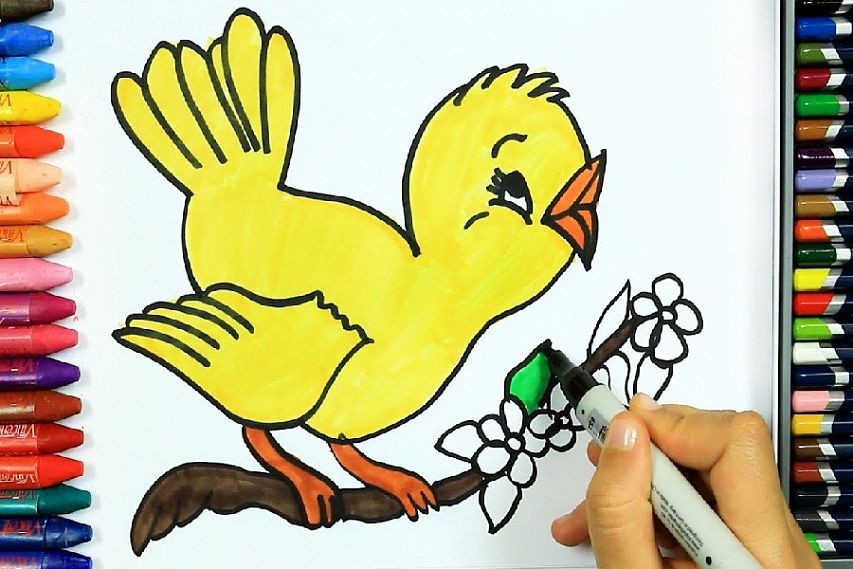 Юные железногорцы приглашаются к участию в областном конкурсе детского рисунка «Статусная птица»