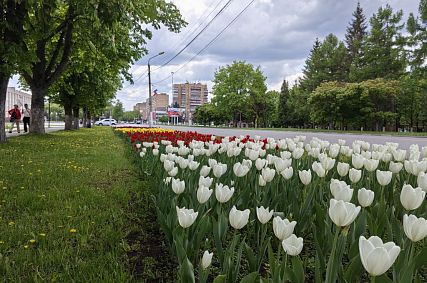 Железногорская администрация ищет инвесторов