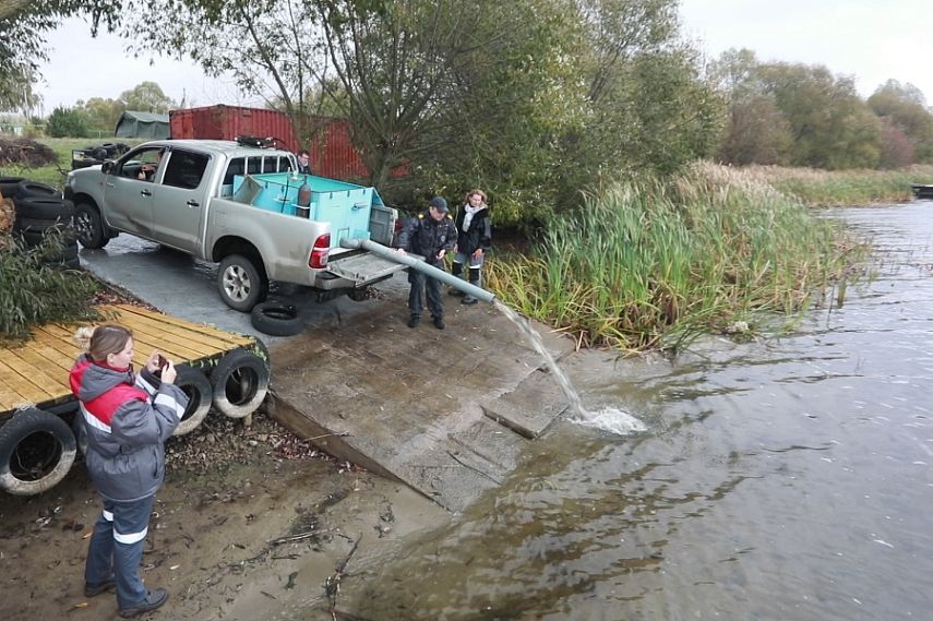 В Михайловское водохранилище выпустили 1 000 мальков сазана