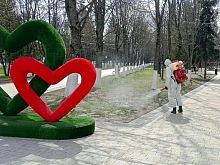 В Железногорске проводят акарицидную обработку городских пространств