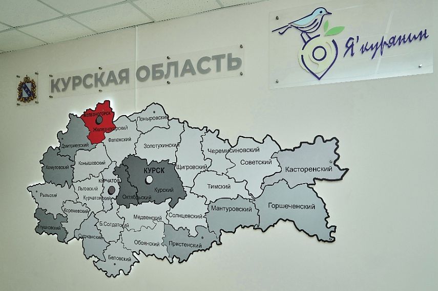 В Курской области за девять месяцев ликвидировали 942 организации