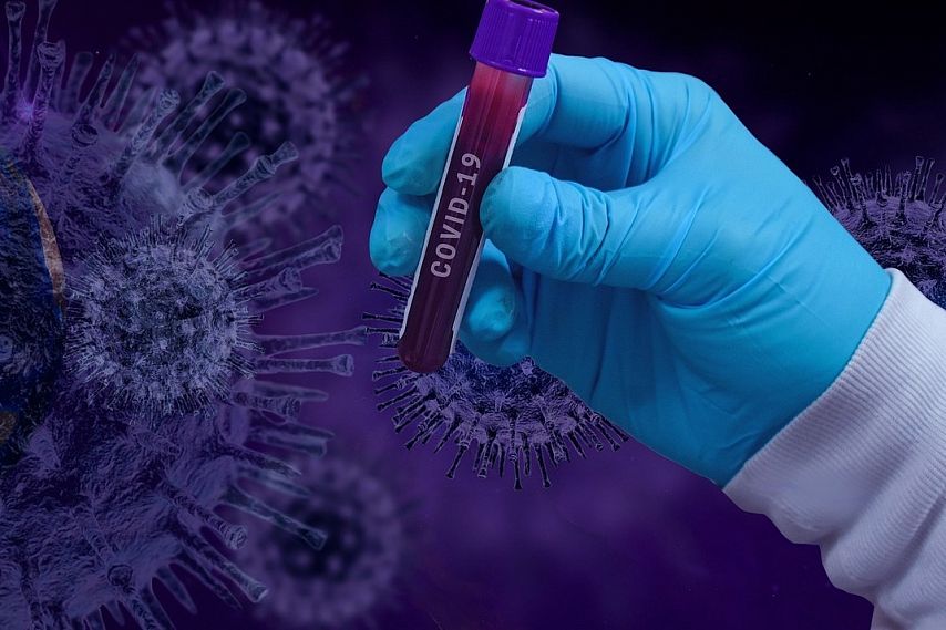 Коронавирус в Железногорске и Курской области: 8 января