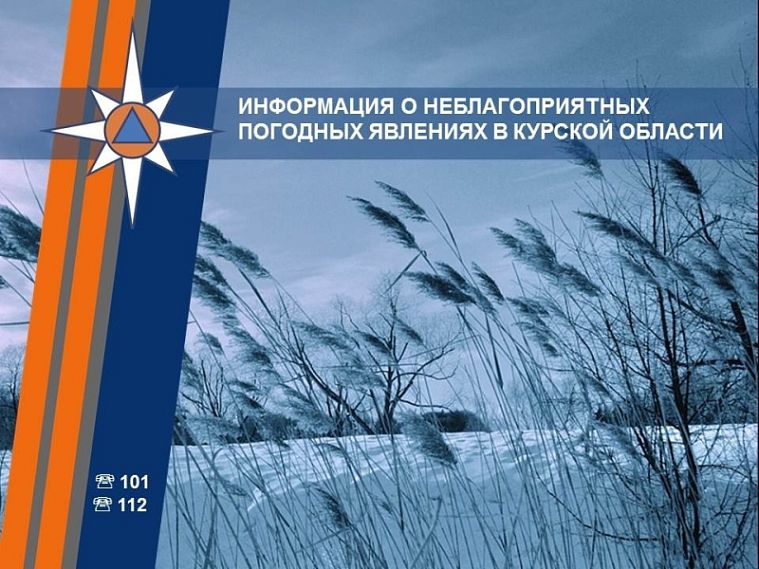 МЧС распространило в Курской области штормовое предупреждение