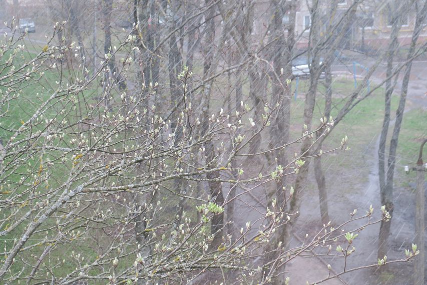 Погода рабочей недели: в Железногорске весна отстает от графика