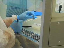 Elena Svetlaya железногорск ковидный госпиталь телефон