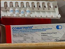 В Курской области подтверждено 18 случаев заболевания вирусом гриппа H1N1