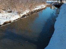 В Курской области для мониторинга паводковой обстановки задействуют 11 гидропостов Росгидромета