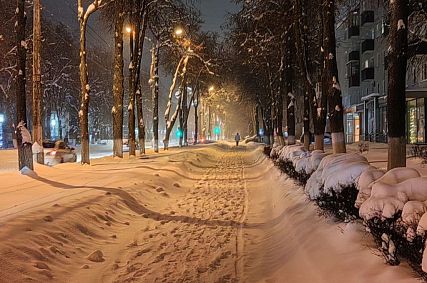 Александр Михайлов поставил оценку «плохо» уборке дорог и тротуаров в праздничные дни