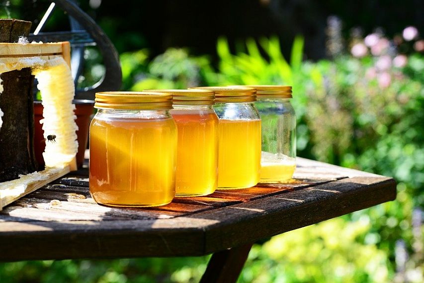 Мёд курских пчеловодов предлагают экспортировать в 35 стран