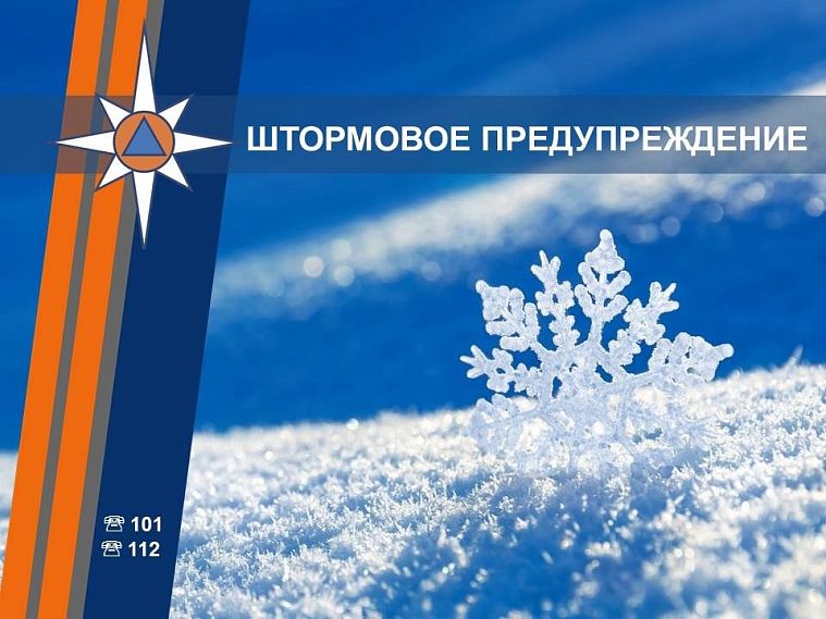 Спасатели объявили в Курской области штормовое предупреждение из-за грядущих морозов