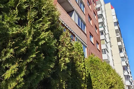 Рынок или искусственный ажиотаж: стремятся ли цены на жильё в Железногорске к подмосковным