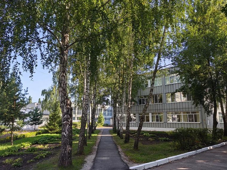 В школах Курской области действуют разные подходы к урокам в момент ракетной опасности