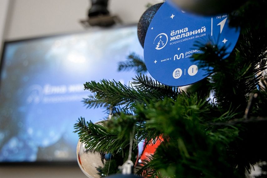 Железногорцев приглашают присоединиться к Всероссийской акции «Ёлка желаний – 2026» 