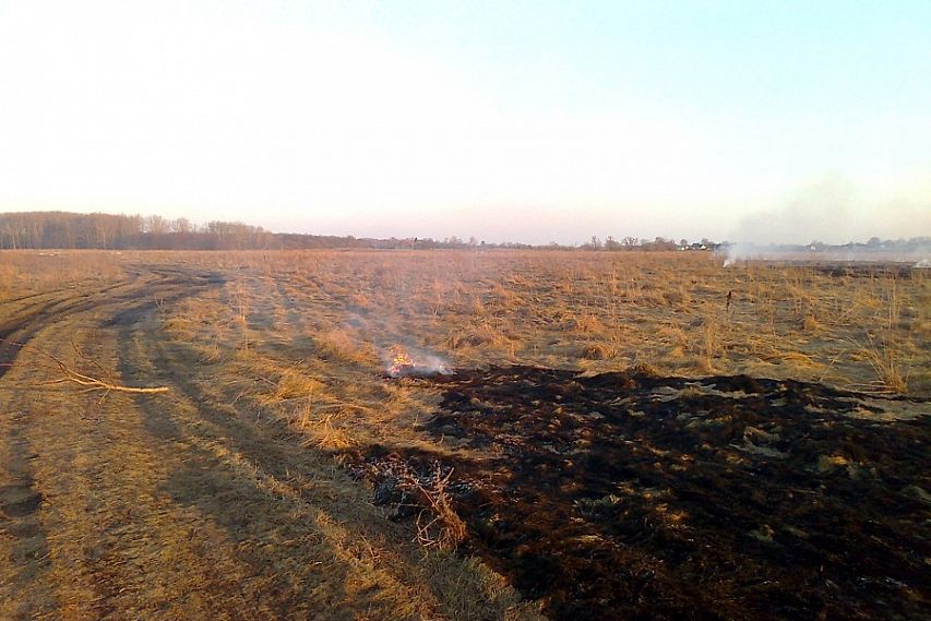 В Курской области участились случаи поджогов сухой травы