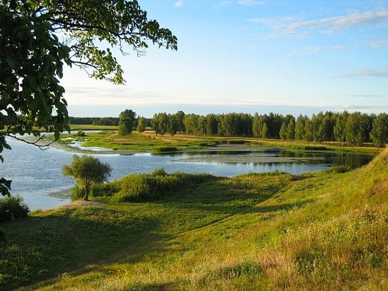 Курская область - в пятёрке лучших эко-субьектов страны