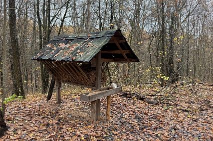 В Курской области завершился пожароопасный сезон 2025 года