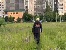 Найден, жив! Чудесная история спасения железногорца