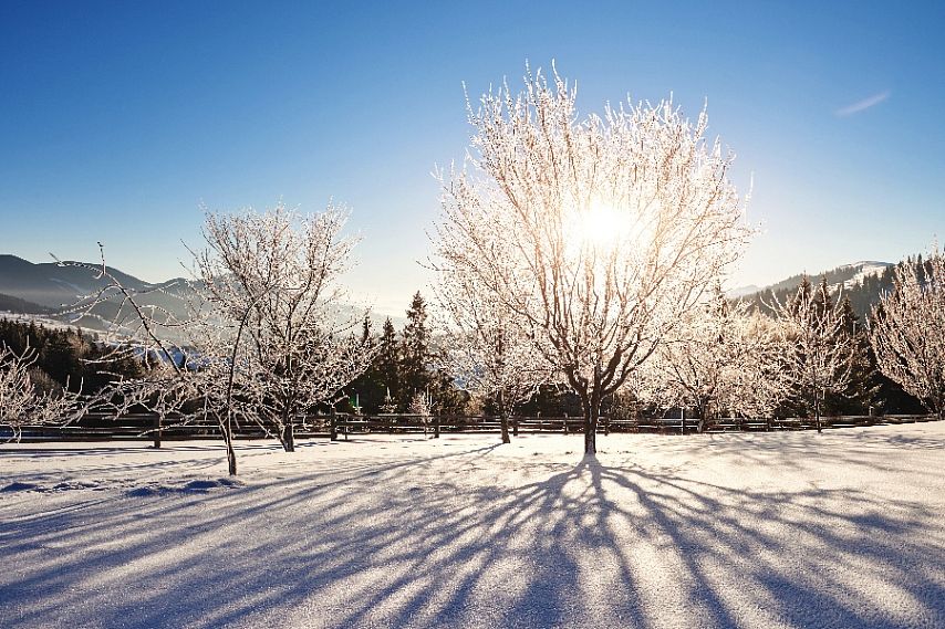 Депутат Госдумы предложил перенести начало уроков в школах зимой на более позднее время