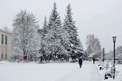 В Курской области с вечера 25 декабря ожидаются снегопад и ветер