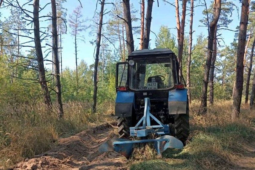В Курской области с 16 июля продлены ограничения на посещение лесов