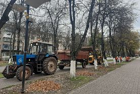 Уборка листвы на улицах Железногорска