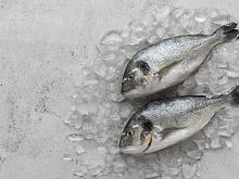 На железногорском предприятии мороженую рыбу-луну «превратили» в копчёную путассу