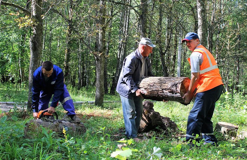 В Железногорске ведутся работы по реновации парка им. Никитина 