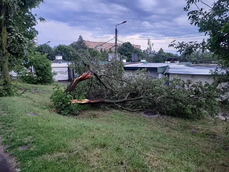 МЧС предупреждает о ливнях, грозах, граде и сильном ветре