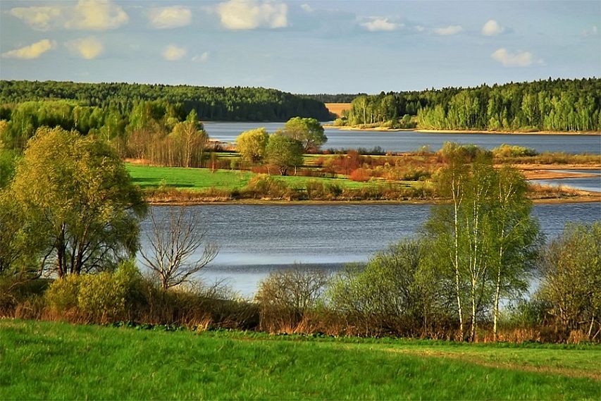 Курская область вошла в топ-10 экологически чистых регионов 