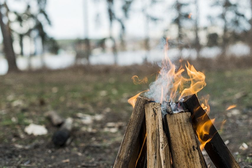 С 12 сентября в Курской области ввели особый противопожарный режим