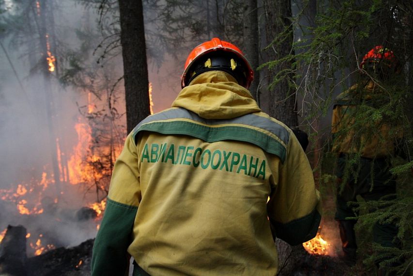 Курскую область включили в список самых пожароопасных регионов этой весной 