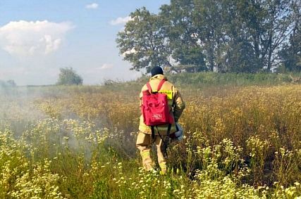 В Железногорске и Железногорском районе прогнозируется 4-й класс пожарной опасности
