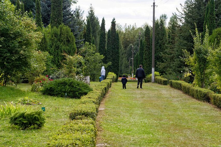 Максим Левин: «Если будете в Железногорске, обязательно посетите дендрологический парк»