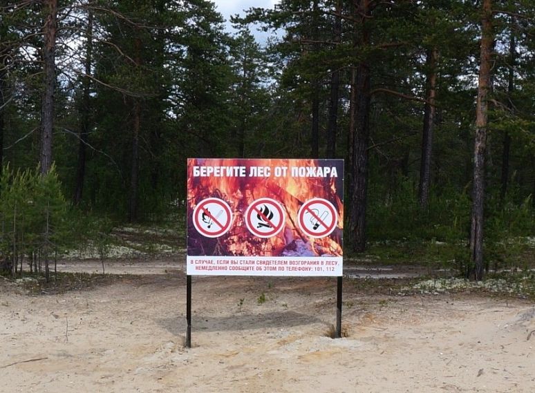 В Железногорске установлен особый противопожарный режим