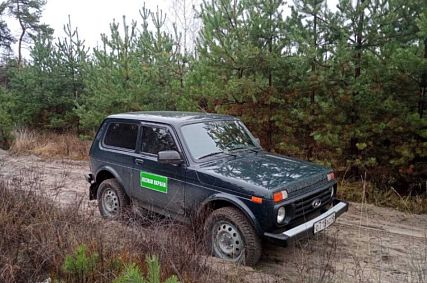 В Курской области усилят патрулирование лесов