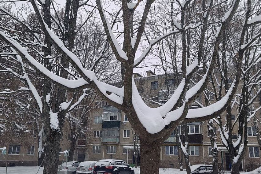 В Курской области ожидаются дождь и мокрый снег