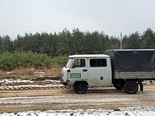 В Курской области за незаконную вырубку одного хвойного дерева браконьер заплатит около 7 тысяч рублей