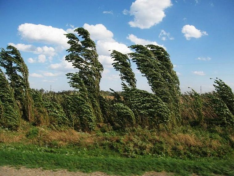 Сегодня в Железногорске будет бушевать сильный ветер