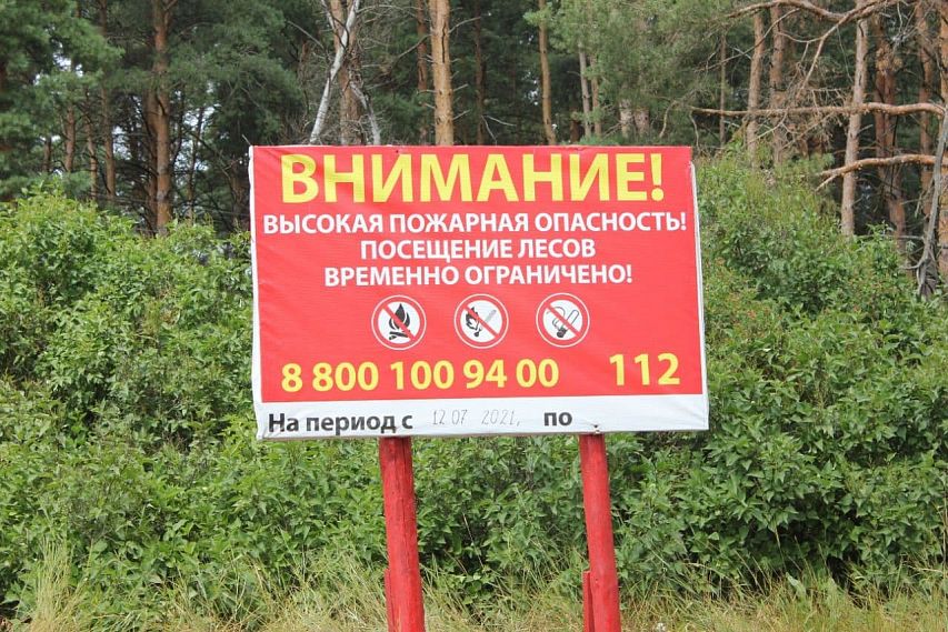 В Курской области продлены ограничения на посещение лесов
