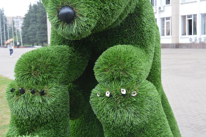 Новые топиарии Железногорска подверглись вандализму