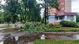 7 июля на Железногорск обрушился ураган
