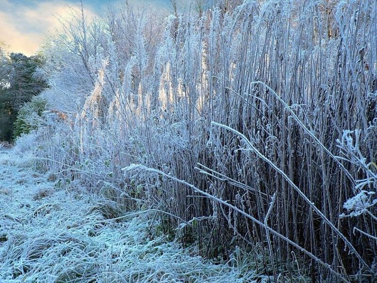 Погода в Железногорске на 23 февраля 