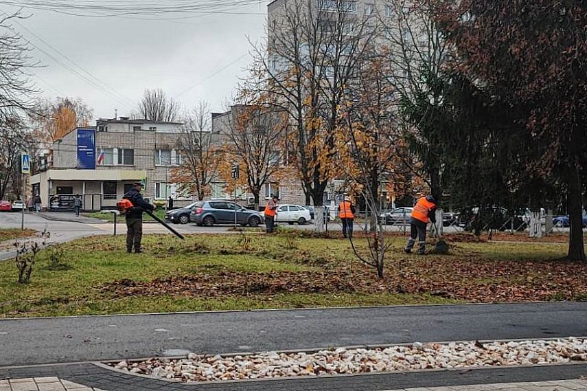В Железногорске продолжается осенняя уборка города