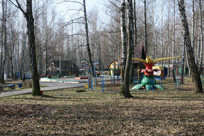 Железногорцам предлагают высказать пожелания по поводу реконструкции парка имени Никитина  