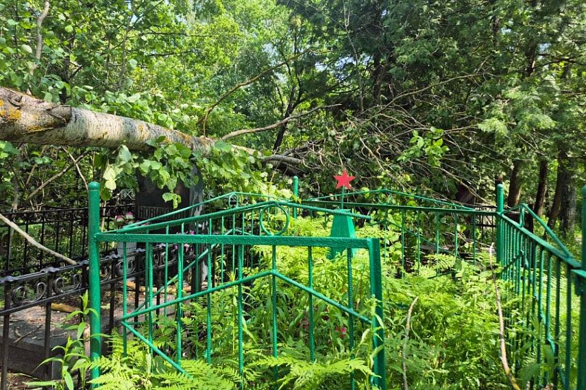 Обрушившейся на Железногорск ураган затронул и кладбище 