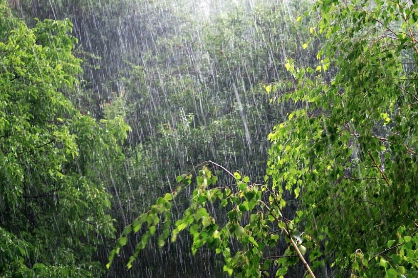 В Курскую область снова придут дожди