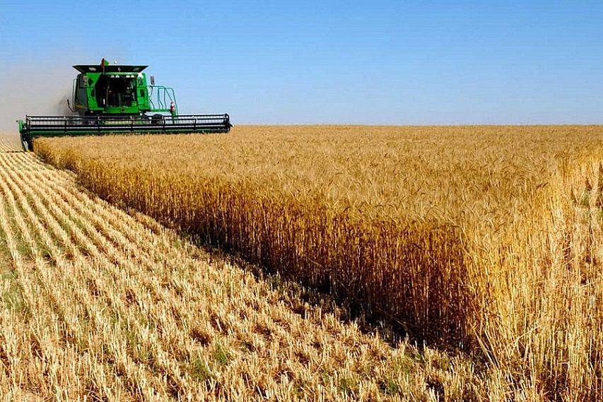 Урожай наград: в Курской области лучшие аграрии