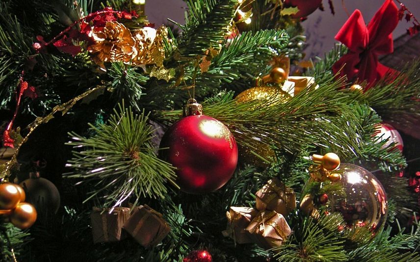 Красную площадь Курска украсит елка из Железногорского района
