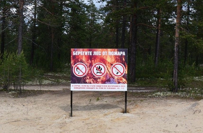 Леса Курской области будут патрулировать сотрудники полиции и МЧС