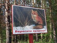 В Курской области с 25 июня продлили ограничения на пребывание граждан в лесах